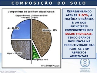C O M P O S I Ç Ã O D O S O L O
REPRESENTANDO
APENAS 1-5%, A
MATÉRIA ORGÂNICA
É UM DOS
PRINCIPAIS
COMPONENTES DOS
SOLOS TROPICAIS,
TENDO GRANDE
INFLUÊNCIA NA
PRODUTIVIDADE DAS
PLANTAS E EM
ASPECTOS
AMBIENTAIS
 