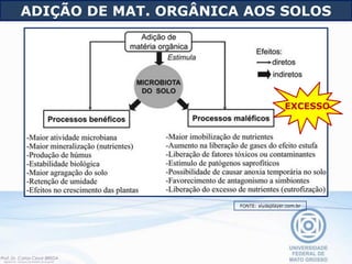 FONTE: slydeplayer.com.br
EXCESSO
ADIÇÃO DE MAT. ORGÂNICA AOS SOLOS
 