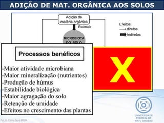 X
ADIÇÃO DE MAT. ORGÂNICA AOS SOLOS
 