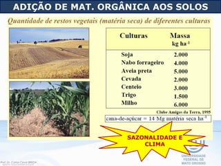 ADIÇÃO DE MAT. ORGÂNICA AOS SOLOS
SAZONALIDADE E
CLIMA
 