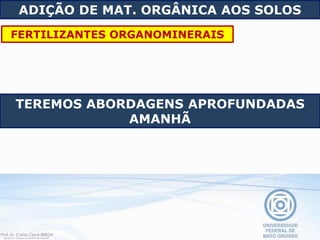 FERTILIZANTES ORGANOMINERAIS
ADIÇÃO DE MAT. ORGÂNICA AOS SOLOS
TEREMOS ABORDAGENS APROFUNDADAS
AMANHÃ
 