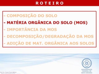 - COMPOSIÇÃO DO SOLO
- MATÉRIA ORGÂNICA DO SOLO (MOS)
- IMPORTÂNCIA DA MOS
- DECOMPOSIÇÃO/DEGRADAÇÃO DA MOS
- ADIÇÃO DE MAT. ORGÂNICA AOS SOLOS
R O T E I R O
 