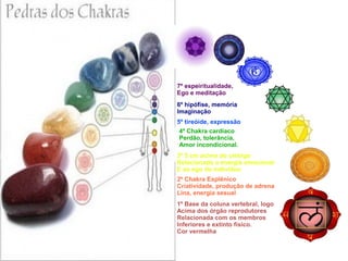7º espeiritualidade,
Ego e meditação
6º hipófise, memória
Imaginação
5º tireóide, expressão
4º Chakra cardíaco
Perdão, tolerância,
Amor incondicional.
3º 5 cm acima do umbigo
Relacionado a energia emocional
E ao ego do indivíduo
2º Chakra Esplênico
Criatividade, produção de adrena
Lina, energia sesual
1º Base da coluna vertebral, logo
Acima dos órgão reprodutores
Relacionada com os membros
Inferiores e extinto físico.
Cor vermelha
 
