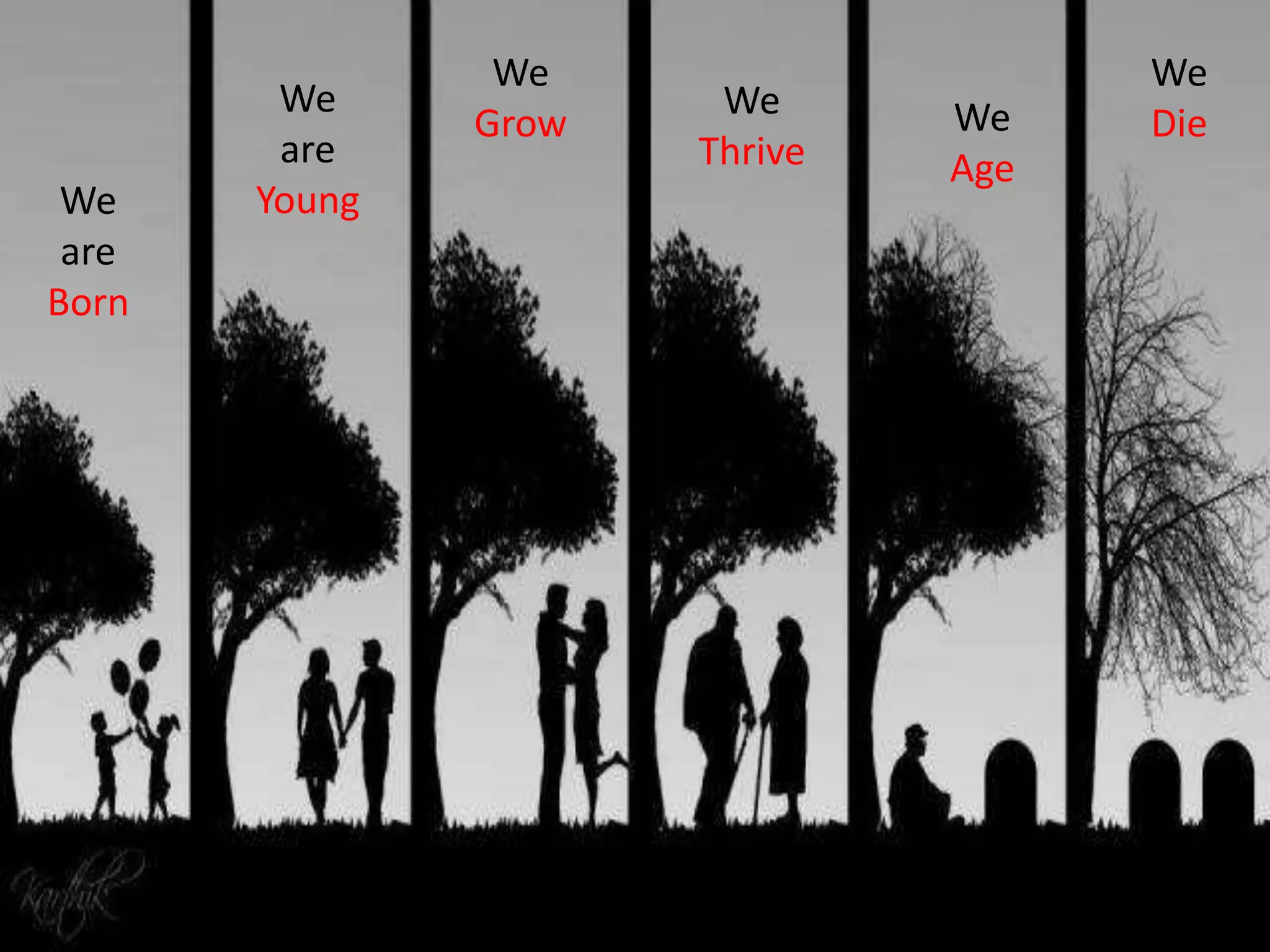 We
are
Born

We
are
Young

We
Grow

We
Thrive

We
Age

We
Die

 