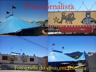 Foto jornalista
 Fotografia de um repolho bem grande.

Fotografia do circo em Ibicoara.

 