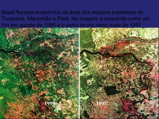 Brasil floresta amazônica na área dos estados brasileiros de
Tocantins, Maranhão e Pará. Na imagem à esquerda como um
tiro em agosto de 1995 e o outro no tiro certo maio de 1997




                 1995                 1997
 
