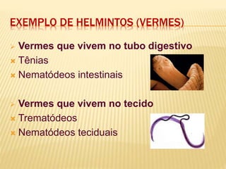 EXEMPLO DE HELMINTOS (VERMES)
 Vermes que vivem no tubo digestivo
 Tênias
 Nematódeos intestinais
 Vermes que vivem no tecido
 Trematódeos
 Nematódeos teciduais
 