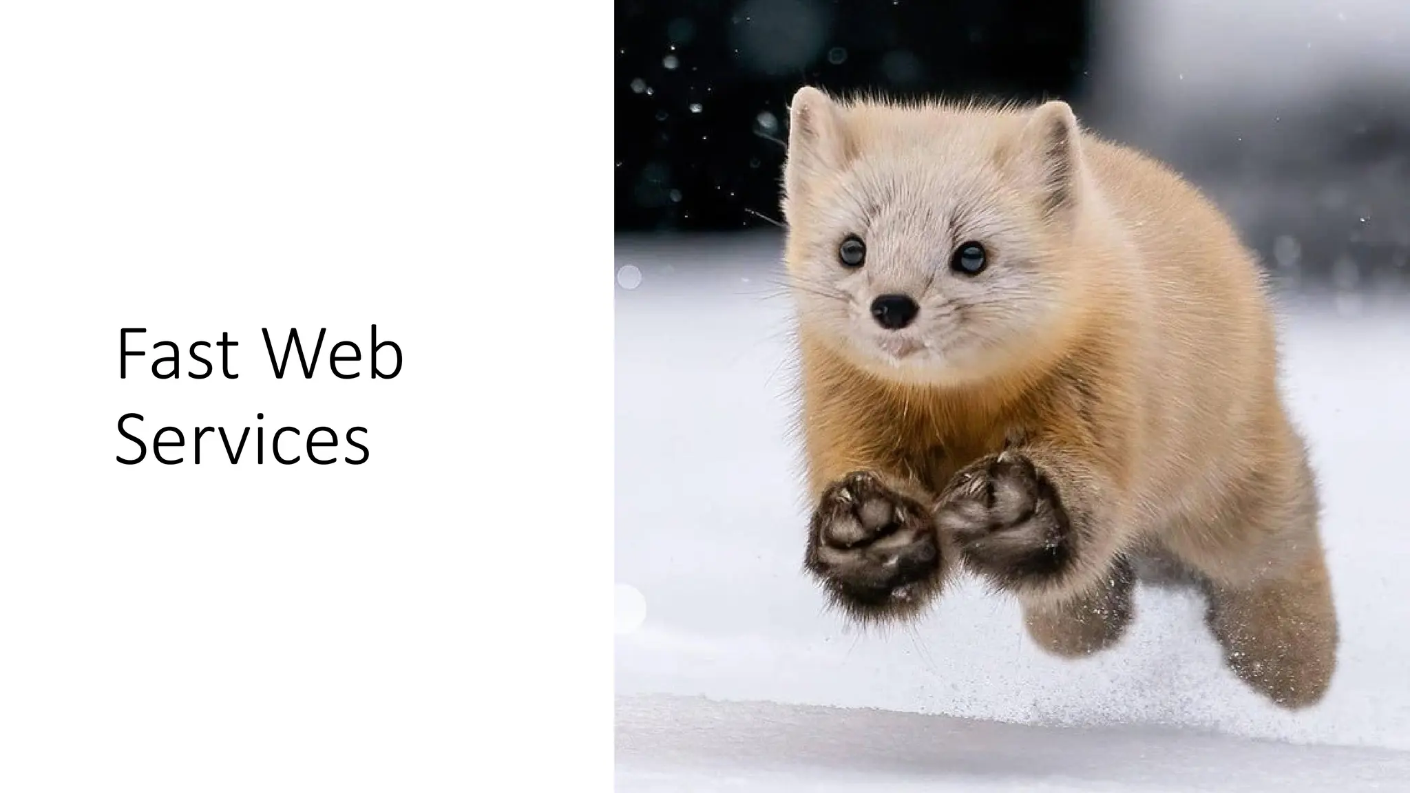 Fast Web
Services
 