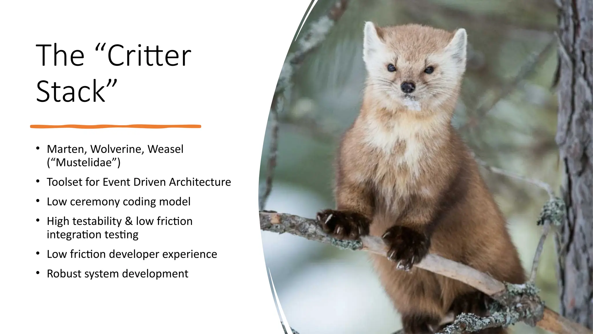 The “Critter
Stack”
• Marten, Wolverine, Weasel
(“Mustelidae”)
• Toolset for Event Driven Architecture
• Low ceremony coding model
• High testability & low friction
integration testing
• Low friction developer experience
• Robust system development
 