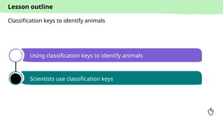 Classification Key Using Post Its classification keys to identify animals - science | PPTX