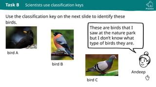 classification keys to identify animals - science | PPTX