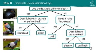 classification keys to identify animals - science | PPTX