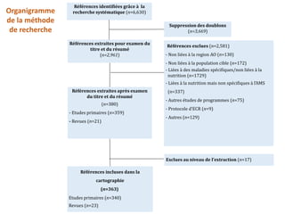 Burkina Faso  : Une carte systématique pour orienter la prise de décision
