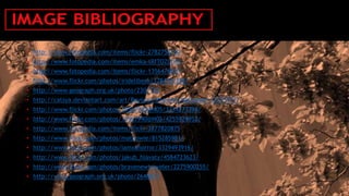 • http://www.fotopedia.com/items/flickr-2782758730
• http://www.fotopedia.com/items/emka-tRfTOZLYl0c
• http://www.fotopedia.com/items/flickr-1356476810
• http://www.flickr.com/photos/iridelibera/3784732282/
• http://www.geograph.org.uk/photo/2301132
• http://catsya.deviantart.com/art/Beyonce-Knowles-Wallpaper-122759717
• http://www.flickr.com/photos/10567940@N05/3234273396/
• http://www.flickr.com/photos/10567940@N05/4255929952/
• http://www.fotopedia.com/items/flickr-3877820875
• http://www.flickr.com/photos/mathowie/815285981/
• http://www.flickr.com/photos/iamxahorror/3329493916/
• http://www.flickr.com/photos/jakub_hlavaty/4584723623/
• http://www.flickr.com/photos/bravenewtraveler/2275900255/
• http://www.geograph.org.uk/photo/2640877
 