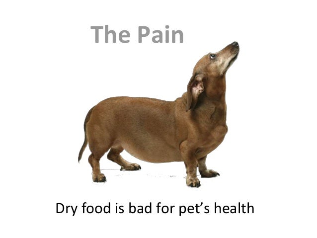 Image result for dry pet food is bad