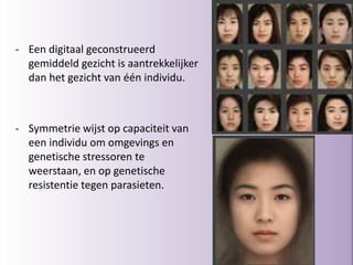 - Een digitaal geconstrueerd
gemiddeld gezicht is aantrekkelijker
dan het gezicht van één individu.
- Symmetrie wijst op capaciteit van
een individu om omgevings en
genetische stressoren te
weerstaan, en op genetische
resistentie tegen parasieten.
54
 
