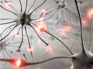 USG Major Sale Program 201401 - Crowdale.com
 