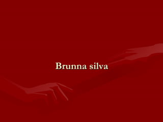 Brunna silva 