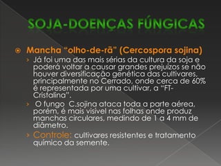 Crestamento bacteriano comum