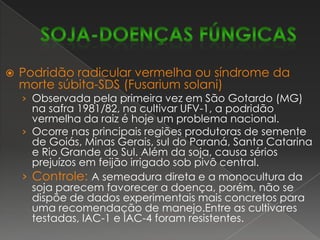 Cancro da haste (Diaporthephaseolorum f. sp. meridionalis/Phomopsisphaseoli f. sp. meridionalis)O fungo é disseminado por sementes contaminadas, multiplica-se nas primeiras plantas infectadas e, posteriormente, nos restos culturais. A ocorrência da doença depende da suscetibilidade da cultivar e de chuvas freqüentes nos primeiros 40-50 após a emergência.Controle:  Uso de cultivar resistente. A atual falta de semente de cultivares resistentes exige a adoção de medidas capazes de reduzir o potencial de inóculo do patógeno e de melhorar as condições nutricionais das plantas. Assim, além de cultivar resistente, é essencial complementar com tratamento de semente, rotação/sucessão de culturas, incorporação dos restos culturais, semeadura tardia, população e espaçamento que evitem o estiolamento e o acamamento e adubação potássica equilibrada.soja-DOENÇAS FÚNGICAS