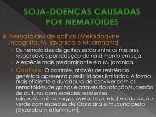 Antracnose (Colletotrichumdematiumvar.truncata)A antracnose é uma das principais doenças do Cerrado.Pode causar perda total mas, com maior freqüência, reduz o número de vagens e induz a planta à retenção foliar e haste verde.O sintoma na haste é facilmente confundido com a fase inicial do cancro da haste.Controle:  Rotação/sucessão de culturas, maior espaçamento entre as linhas e população adequada, controle de plantas daninhas, tratamento da semente e manejo adequado do solo, com ênfase na adubação potássica.soja-DOENÇAS FÚNGICAS