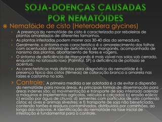 Seca da haste e da vagem ou  Phomopsis da semente(Phomopsissojae e outras espécies)É uma das doenças mais tradicionais da soja e, anualmente, junto com a antracnose, é responsável pelo descarte de grande número de lotes de sementes. Ocorre principalmente em anos chuvosos, causando morte prematura ou apodrecimento das vagens e sementes quando ocorre retardamento de colheita por excesso de umidade.Controle: Idem ao da antracnose.soja-DOENÇAS FÚNGICAS