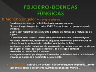 Nas hastes, vagens e sementes, as lesões são geralmente de coloração escura, arredondadas ou ovaladas, e deprimidas em relação à superfície do órgão.