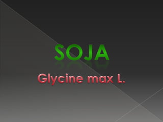 FEIJOEIRO-DOENÇAS BACTERIANACrestamento bacteriano comum–XanthomonascampestriA doença é causada por uma bactéria que se manifesta em toda a parte aérea da planta.Nas folhas, as lesões inicialmente são visíveis na face inferior, onde são pequenas e encharcadas e, à medida que se desenvolvem, os tecidos tornam-se secos e quebradiços, circundados por um halo amarelo, facilmente observados na face superior das folhas. As lesões nos caules das plantas novas são deprimidas e iniciam-se sob a forma de manchas aquosas, que aumentam gradualmente de tamanho e tomam a aparência de riscos vermelhos que se estendem ao longo do caule, cuja superfície  normalmente racha, podendo o exsudato bacteriano acumular-se na lesão. As lesões nas vagens inicialmente são encharcadas, circulares a irregulares, apresentando ou não exsudato bacteriano de cor amarela, e posteriormente tornam-se secas e avermelhadas. A infecção é normalmente observada na sutura das vagens. As sementes infectadas podem se apresentar descoloridas, enrugadas ou simplesmente não apresentar sintomas visíveis.O principal modo de disseminação da bactéria de uma área para a outra  é através de sementes contaminadas e, dentro de uma plantação, através de respingos de chuva, implementos agrícolas e insetos.Controle:uso de variedades resistentes, sementes sadias, rotação de culturas e eliminação de restos culturais.