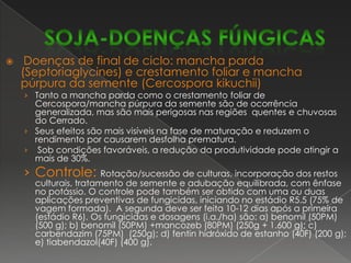 Crestamento bacteriano de halo