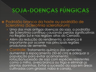 Mancha “olho-de-rã” (Cercosporasojina)Já foi uma das mais sérias da cultura da soja e poderá voltar a causar grandes prejuízos se não houver diversificação genética das cultivares, principalmente no Cerrado, onde cerca de 60% é representada por uma cultivar, a “FT-Cristalina”. O fungo  C.sojina ataca toda a parte aérea, porém, é mais visível nas folhas onde produz manchas circulares, medindo de 1 a 4 mm de diâmetro.Controle: cultivares resistentes e tratamento químico da semente.soja-DOENÇAS FÚNGICAS