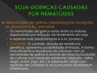 Antracnose (Colletotrichumdematiumvar.truncata)A antracnose é uma das principais doenças do Cerrado.Pode causar perda total mas, com maior freqüência, reduz o número de vagens e induz a planta à retenção foliar e haste verde.O sintoma na haste é facilmente confundido com a fase inicial do cancro da haste.Controle:  Rotação/sucessão de culturas, maior espaçamento entre as linhas e população adequada, controle de plantas daninhas, tratamento da semente e manejo adequado do solo, com ênfase na adubação potássica.soja-DOENÇAS FÚNGICAS