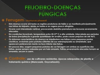 Ocorre com maior severidade no sul do país