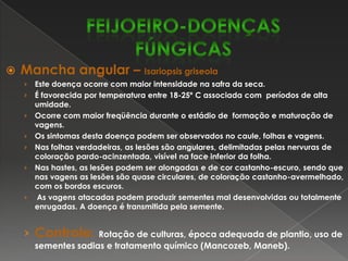 Nas hastes, vagens e sementes, as lesões são geralmente de coloração escura, arredondadas ou ovaladas, e deprimidas em relação à superfície do órgão.