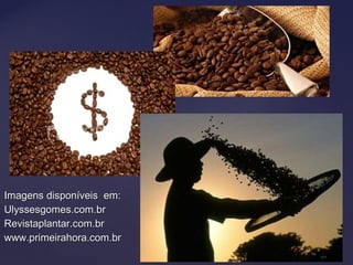 Imagens disponíveis em:Imagens disponíveis em:
Ulyssesgomes.com.brUlyssesgomes.com.br
Revistaplantar.com.brRevistaplantar.com.br
www.primeirahora.com.brwww.primeirahora.com.br
 