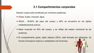 3.1 Compartimientos corporales
Nuestro cuerpo está constituído por inúmeras sustâncias:
 Grasa, hueso, musculo, água;
 ÁGUA : 50-65% del peso del cuerpo y 80% se encuentra en los tejidos
metabólicamente activos.
 Masa muscular es 40% del cuerpo, y es reflejo del estado nutricional de las
proteínas.
 El compartimiento graso, tejido adiposo (20%), está formado por adipocitos. Su
función principal es reserva y metabolismo de hormonas.
 