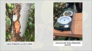 ÂNGULO 220º PARA PROXIMO
PONTO
CARACTERÍSTICAS EM CAMPO
 