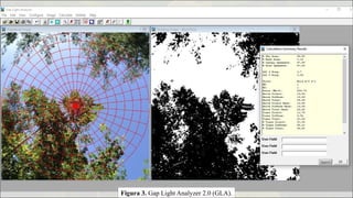 Figura 3. Gap Light Analyzer 2.0 (GLA).
 