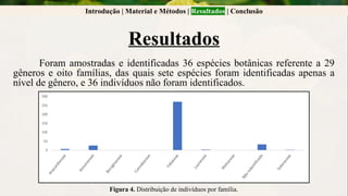 Introdução | Material e Métodos | Resultados | Conclusão
Resultados
Foram amostradas e identificadas 36 espécies botânicas referente a 29
gêneros e oito famílias, das quais sete espécies foram identificadas apenas a
nível de gênero, e 36 indivíduos não foram identificados.
Figura 4. Distribuição de indivíduos por família.
 