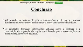 Introdução | Material e Métodos | Resultados | Conclusão
Conclusão
• Vale ressaltar o destaque do gênero Machaerium sp. 1, que se mostrou
dominante no povoamento, apresentando a maior densidade de indivíduos.
• Os resultados fornecem informações valiosas sobre a ecologia e a
composição da vegetação da região, contribuindo para a conservação e o
manejo adequado desses recursos.
 