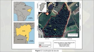 Figura 1. Localização da área de
 