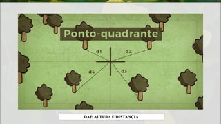 DAP, ALTURA E DISTANÇIA
 