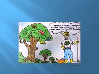 “Lucas Souza Grangeiro”
 