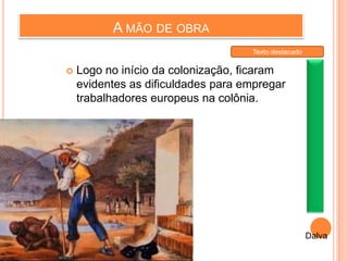 A MÃO DE OBRA
 Logo no início da colonização, ficaram
evidentes as dificuldades para empregar
trabalhadores europeus na colônia.
Dalva
Texto destacado
 