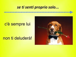 se ti senti proprio solo...



c'è sempre lui


non ti deluderà!
 