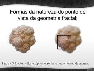Formas da natureza do ponto de
   vista da geometria fractal;
 