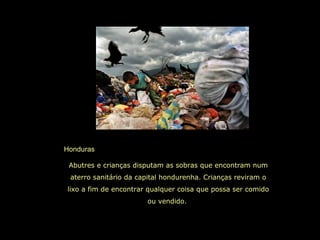 Honduras
Abutres e crianças disputam as sobras que encontram num
aterro sanitário da capital hondurenha. Crianças reviram o
lixo a fim de encontrar qualquer coisa que possa ser comido
ou vendido.
 