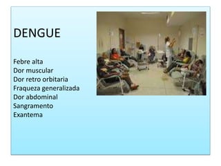 DENGUE
Febre alta
Dor muscular
Dor retro orbitaria
Fraqueza generalizada
Dor abdominal
Sangramento
Exantema
 