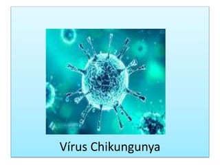 Vírus Chikungunya
 