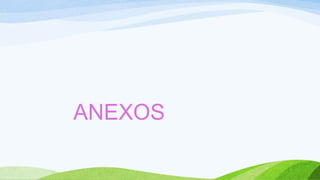 ANEXOS
 