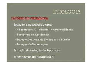 FATORES DE VIRULÊNCIA
 Ligação a neuroreceptores:
• Glicoproteína G – adesina – neuroinvasividade
• Receptores de Acetilcolina
• Receptor Neuronal de Moléculas de Adesão
• Receptor de Neurotropina
 Inibição da indução de Apoptose
 Mecanismos de escape da RI
 